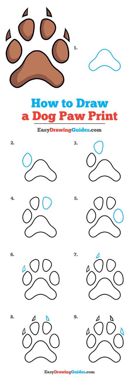 How to Draw a Dog Paw Print .